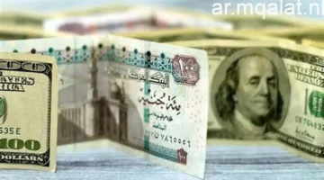 تحركات جديدة في سعر الدولار مقابل الجنيه المصري بختام تعاملات الثلاثاء